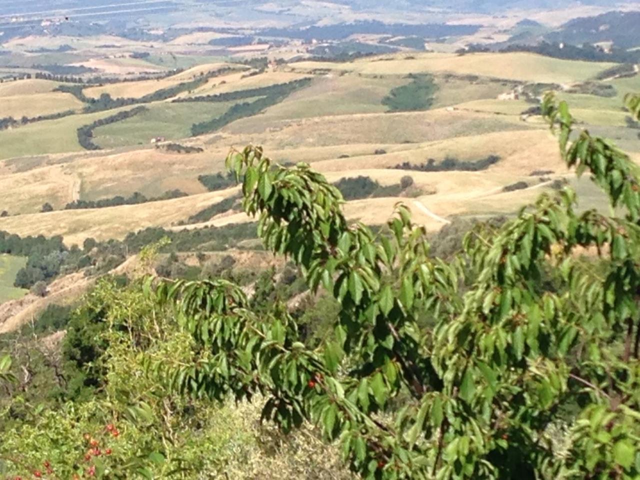 Podere Le Monache Montaione Exterior foto