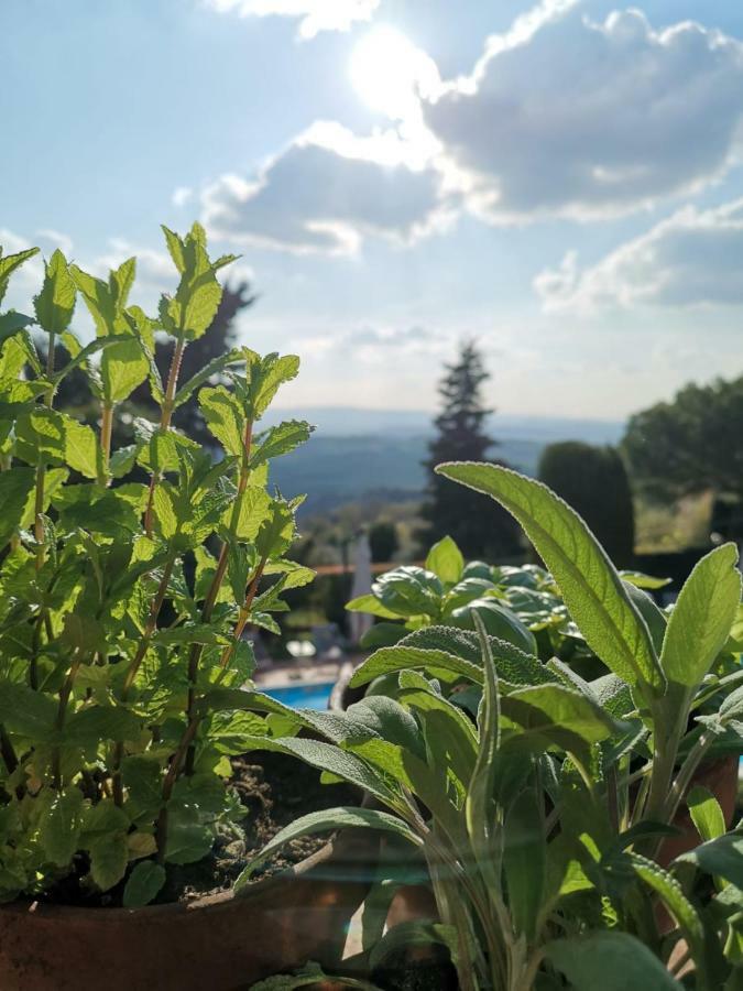 Podere Le Monache Montaione Exterior foto